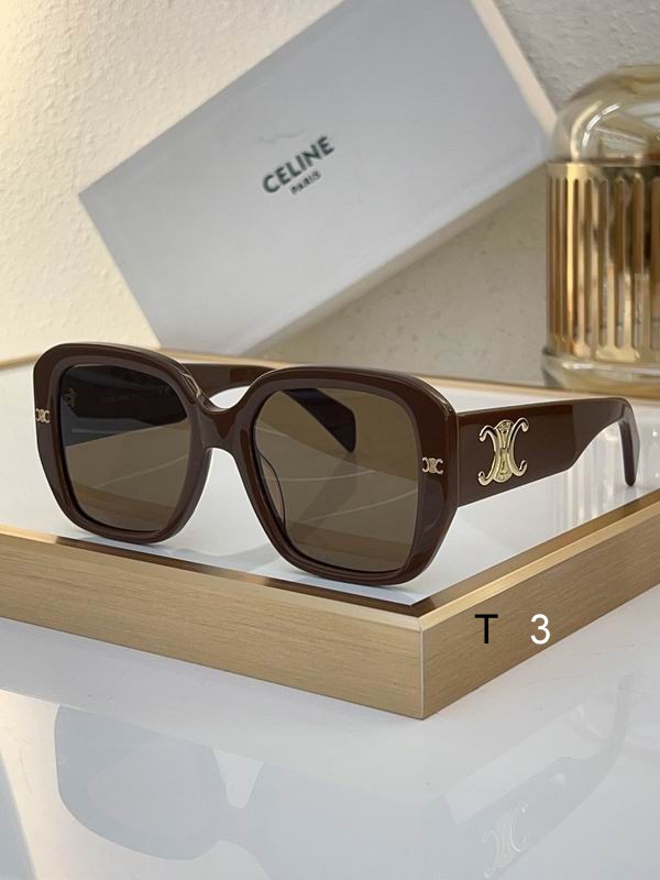 Celine Sunglasses ID:20240804-88